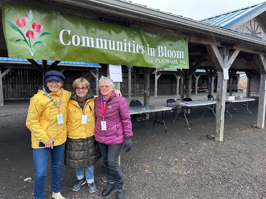 Communities in bloom