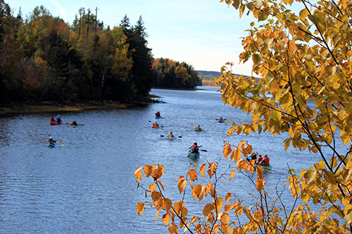 group of kayakers